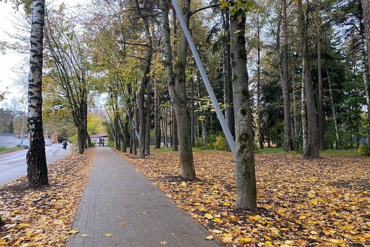 /upload/resize_cache/iblock/01f/1200_1200_1/01f3880884e53673801ddd10502a37d2.jpg